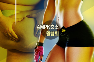 스마트 다이어트